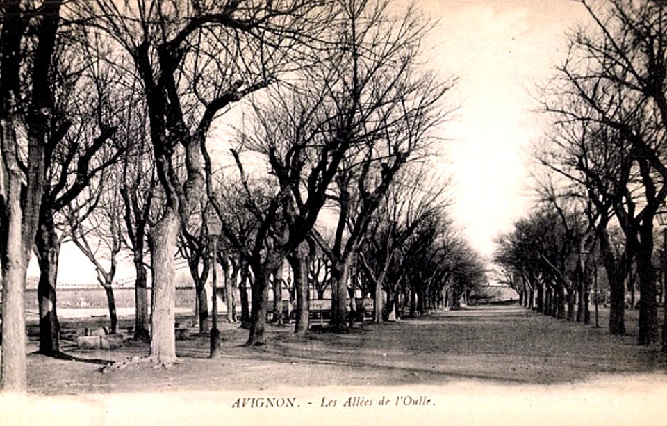 Avignon Les allées de l'Oulle