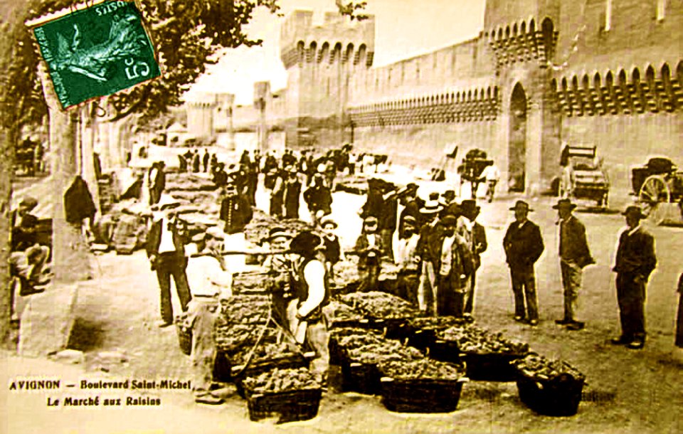 Avignon Marché aux raisins