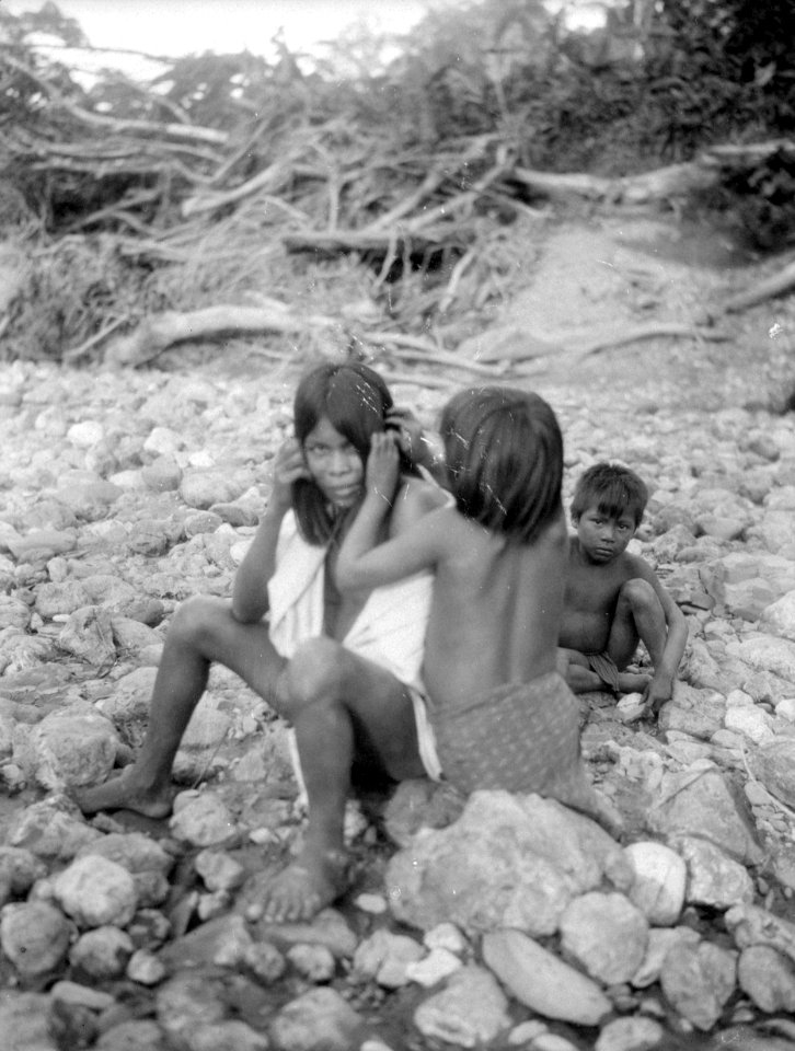 Avlusning. Chocó, Rio Baudó. Colombia - SMVK - 003988
