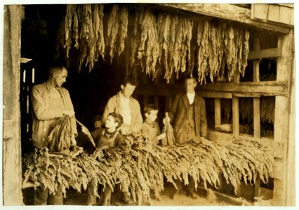B.F. Howell, Route 4, Bowling Green, Ky. and part of his family stripping tobacco. The 8 and 10-year old boys in photo 'tie up waste'; his 12-year old boy and 14-year old girl (not in photo LOC nclc.00650