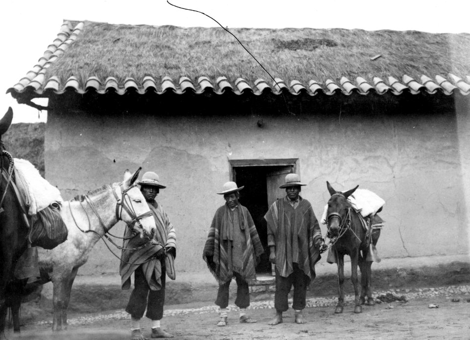 Aymaraindianer håller exp. sadlade mulåsnor. Fotograf Nordenskiöld, Erland. Sydamerika. Bolivia - SMVK - 002398