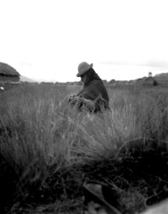 Aymarakvinna. landskap. Bolivia - SMVK - 002369 photo