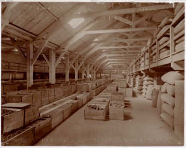 B.W. Arendsen, Afb OSIM00006000442