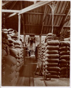 B.W. Arendsen, Afb OSIM00006000441
