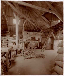 B.W. Arendsen, Afb OSIM00006000443