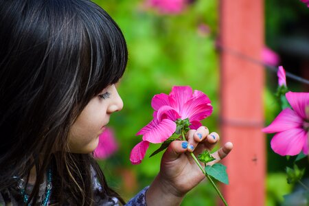 Spring color girl photo