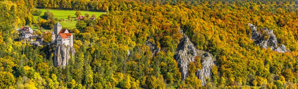 Forest autumn panorama photo