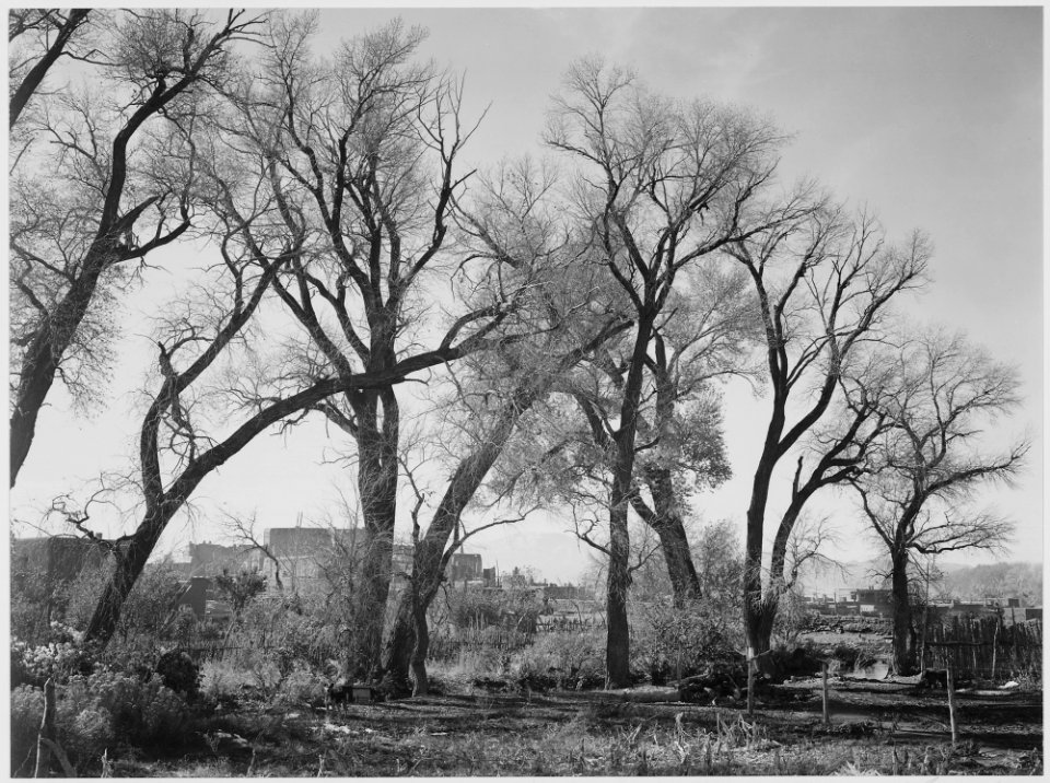At Taos Pueblo (National Historic Landmark). New Mexico, 1933 - 1942 - NARA - 519986