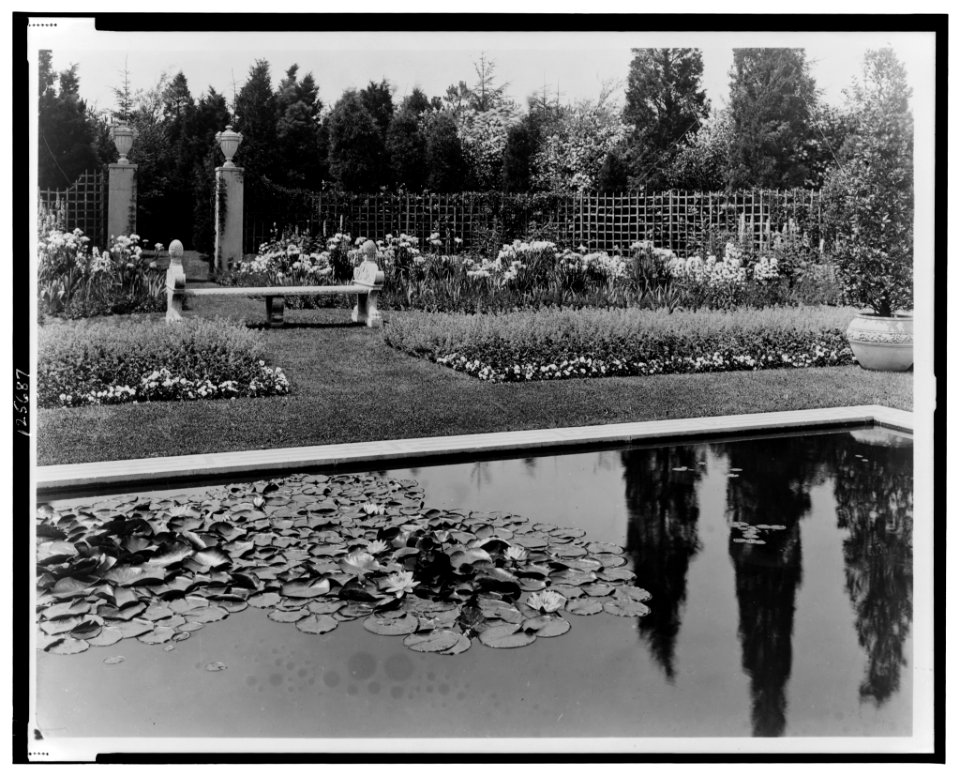 Beacon Hill House, Arthur Curtiss James house, Newport, Rhode Island. Lily pond in the Blue Garden LCCN00651333