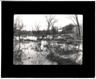 Before at Wakefield, New York City, throug(h) driveway was built LCCN2008675974