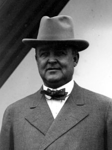 Big Tim Sullivan LCCN2014687996 (cropped)