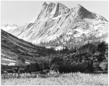Boaring River, Kings Region, Kings River Canyon (Proposed as a national park), California, 1936., ca. 1936 - NARA - 519939