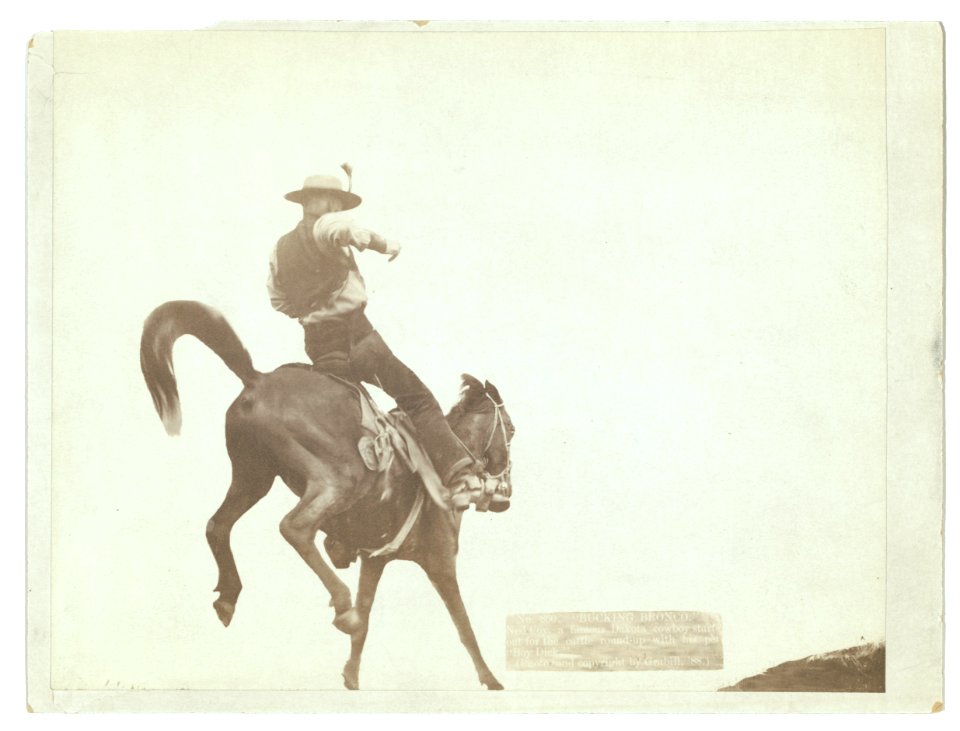 Bucking Bronco. Ned Coy, a famous Dakota cowboy, starts out for the cattle round-up with his pet Boy Dick. LCCN99613921