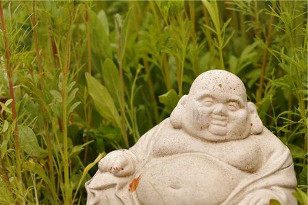 Statue field plants