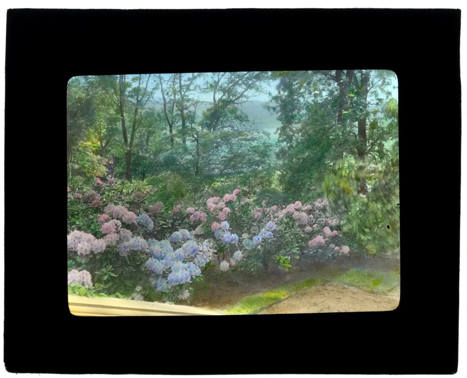 Claraben Court, Benjamin Stern house, Roslyn Harbor, New York. Hydrangea LCCN2008675740