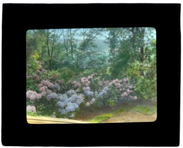 Claraben Court, Benjamin Stern house, Roslyn Harbor, New York. Hydrangea LCCN2008675740