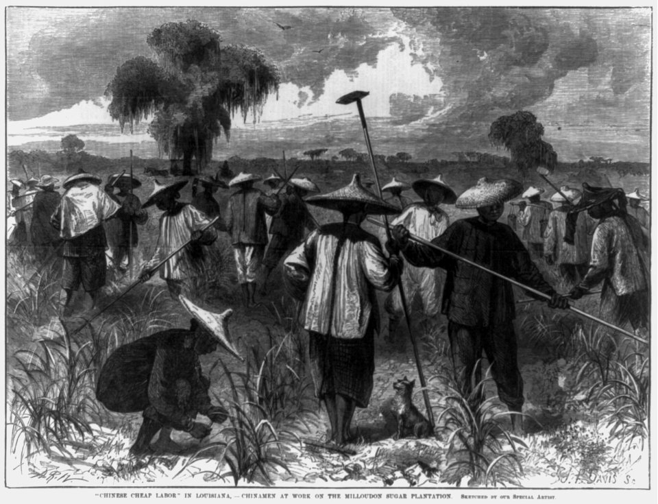 Chinese cheap labor in Louisiana - Chinamen at work on the Milloudon Sugar Plantation LCCN2002716000
