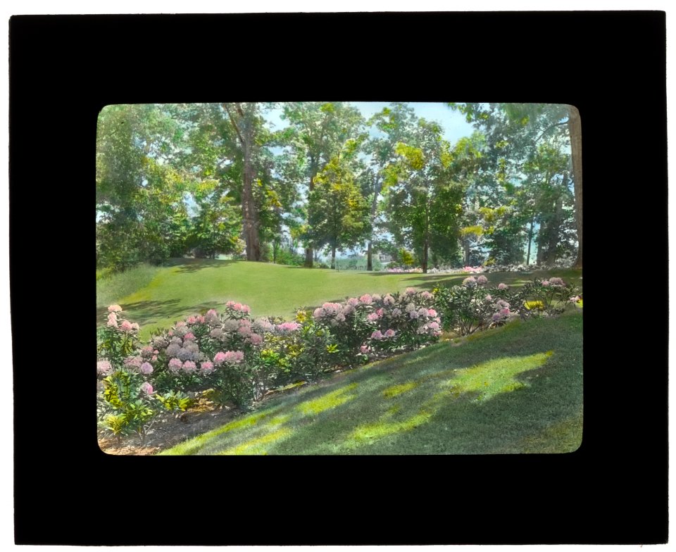 Claraben Court, Benjamin Stern house, Roslyn Harbor, New York. Hydrangea LCCN2008675788