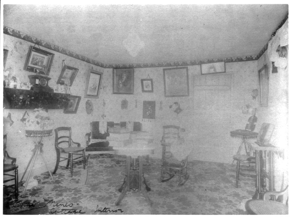Coal mines - cottage interior LCCN2006687330