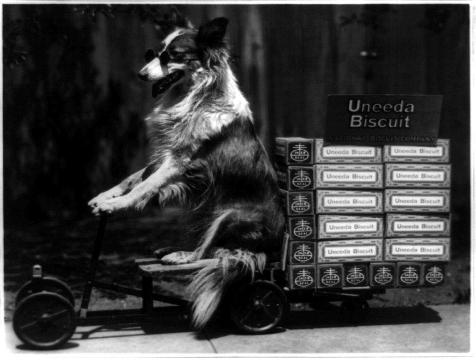 Collie's special delivery LCCN89716105
