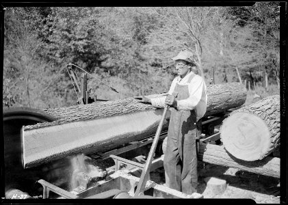Curtis Stiner operating circular saw at the Norris Dam site. - NARA - 532661