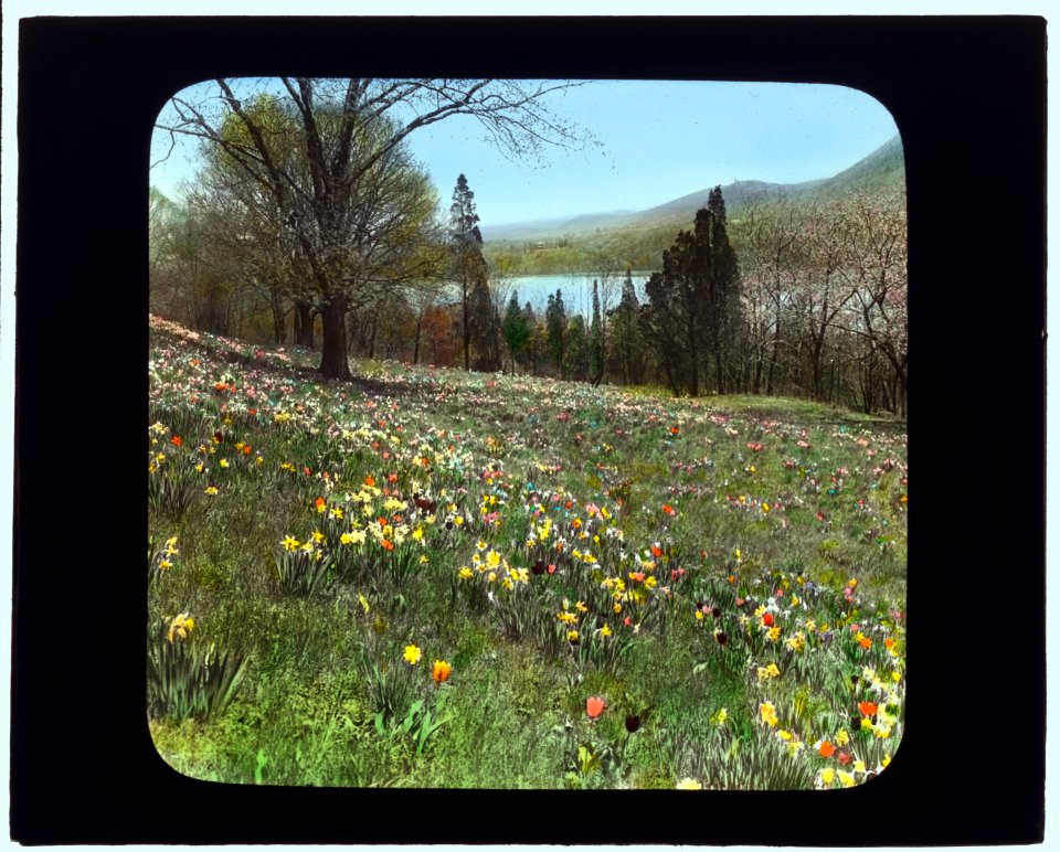 Cragston, John Pierpont Morgan house, Highland Falls, New York. Spring bulbs LCCN2007685956