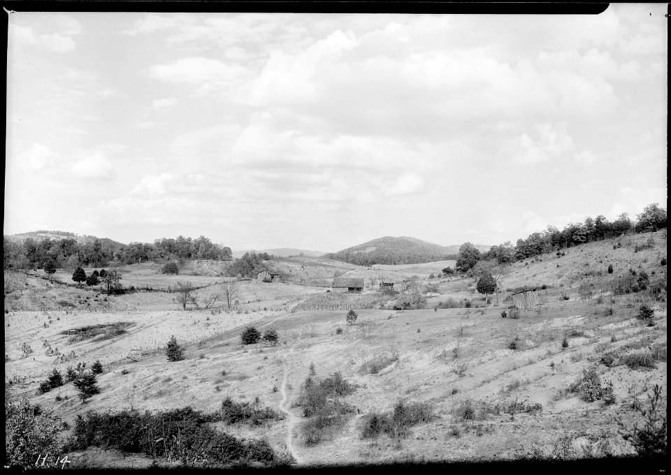 Farm land in Jefferson County, Tennessee. Note the cleared patch on the wooded hill. Areas of hillside land so... - NARA - 532638