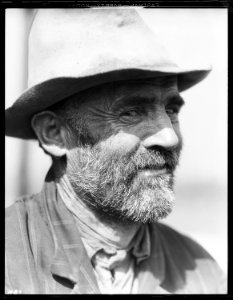 Edgar Coffman, a renter farmer in Anderson County, Tennessee, near Clinton. He is also a preacher for the Holiness... - NARA - 532707 photo