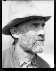 Edgar Coffman, a renter farmer in Anderson County, Tennessee, near Clinton. He is also a preacher for the Holiness... - NARA - 532625 photo
