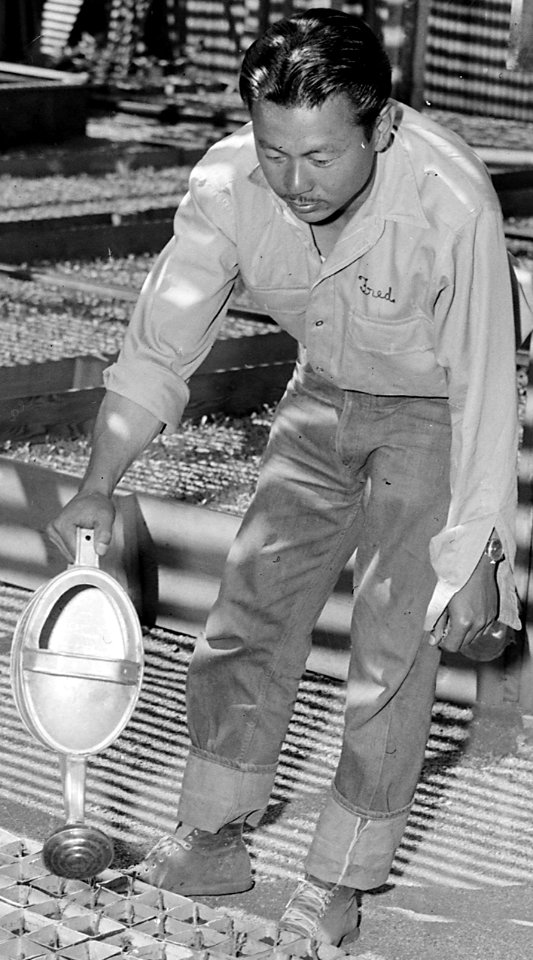 Fred detail, Woodland, California. The departure of persons of Japanese ancestry by special train for Merced . . . - NARA - 537812 (cropped)