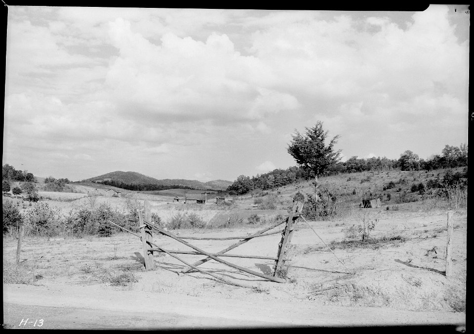 Farm land in Jefferson County, Tennessee. Note the rolling nature of the land. - NARA - 532637