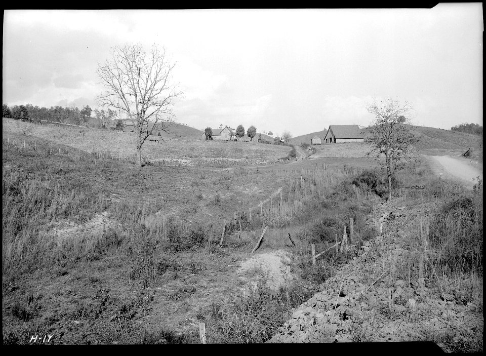 Farm land on main highway near Sevierville, Tennessee. The pasture in the foreground has apparently been overgrazed. - NARA - 532641