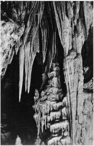Formations, along trail in the Big Room, beyond the 'Temple of the Sun.' Carlsbad Caverns National Park, New Mexico. ( - NARA - 520038