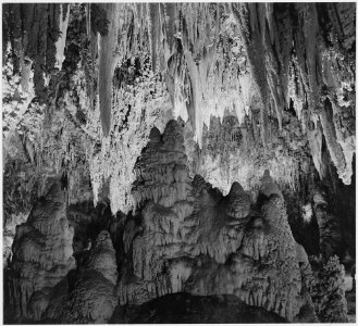 Formations along the wall of the Big Room, near Crystal Spring Home, Carlsbad Caverns National Park, New Mexico., 1933 - NARA - 520048