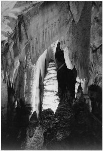 Formations, stalagmites in the 'Queen's Chambers,' Carlsbad Caverns National Park, New Mexico. (vertical orientation), - NARA - 520039 photo