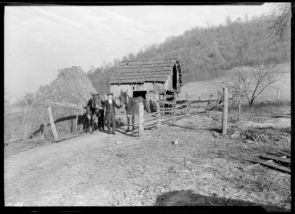 Gaines McGlothin on his farm, R. F. D. ^2, Kingsport, Tenn. Like many of the Kingsport Press workers, McGlothin is a... - NARA - 532743