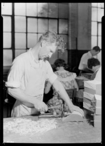 Gaines McGlothin, R. F. D. ^2, Kingsport, Tennessee. McGlothin is here shown cutting index tabs in the process of... - NARA - 532742
