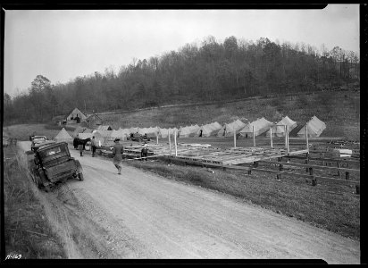 General view of CCC Camp, TVA ^19, located between the Clinch and Powell Rivers, near New Tazewell, Tennessee. In... - NARA - 532787