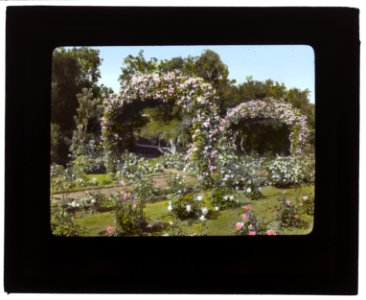 Glen Oaks, James Hobart Moore house, East Valley Road, Montecito, California. Rose garden LCCN2007684906