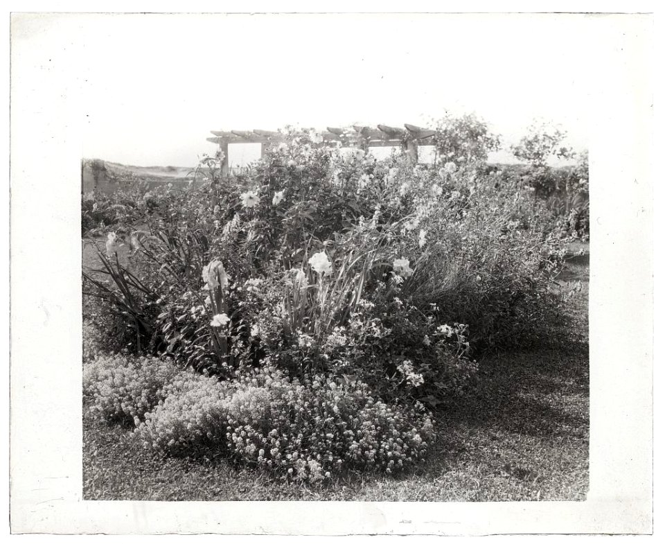 Gray Gardens, Robert Carmer Hill house, Lily Pond Lane, East Hampton, New York. Flower border LCCN2008680059