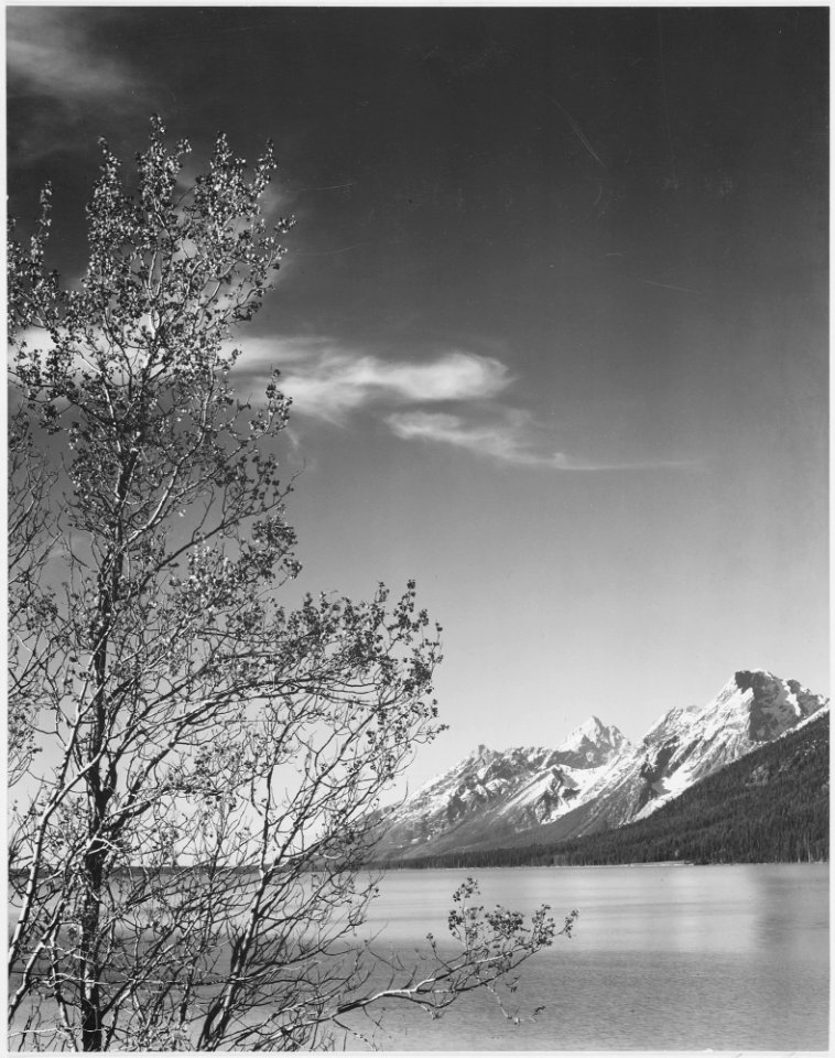 Grand Teton National Park, Wyoming. (vertical orientation), 1933 - 1942 - NARA - 519906