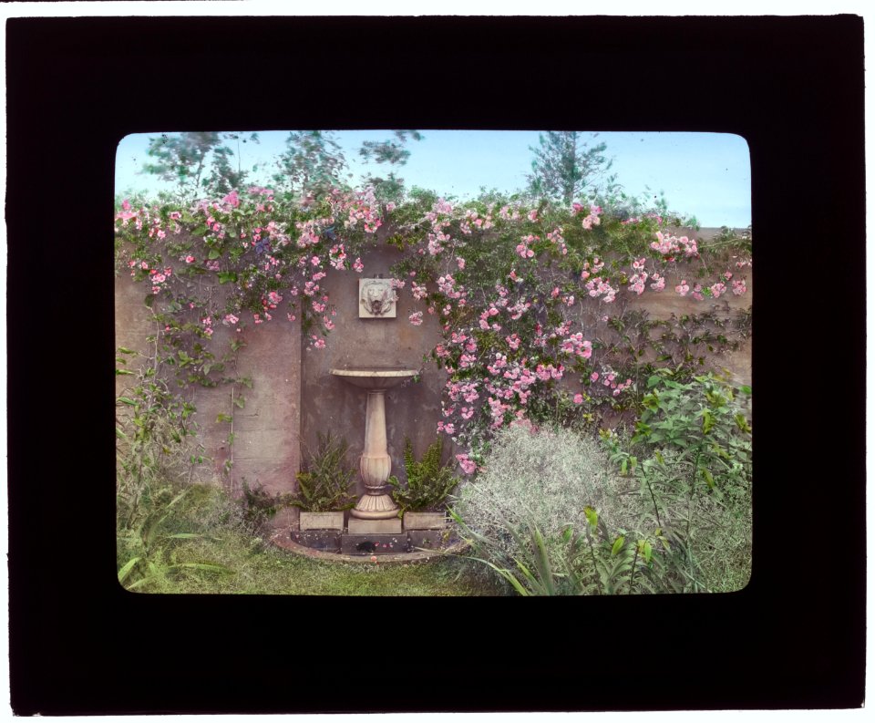 Gray Gardens, Robert Carmer Hill house, Lily Pond Lane, East Hampton, New York. Birdbath LCCN2007685969