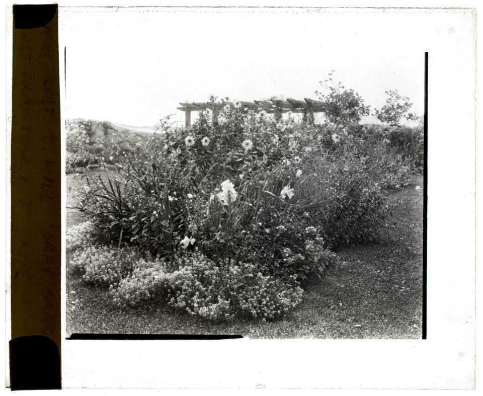 Gray Gardens, Robert Carmer Hill house, Lily Pond Lane, East Hampton, New York. Pergola LCCN2008679216