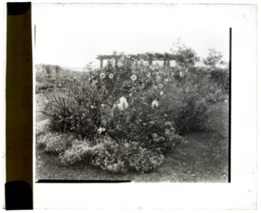 Gray Gardens, Robert Carmer Hill house, Lily Pond Lane, East Hampton, New York. Pergola LCCN2008679216