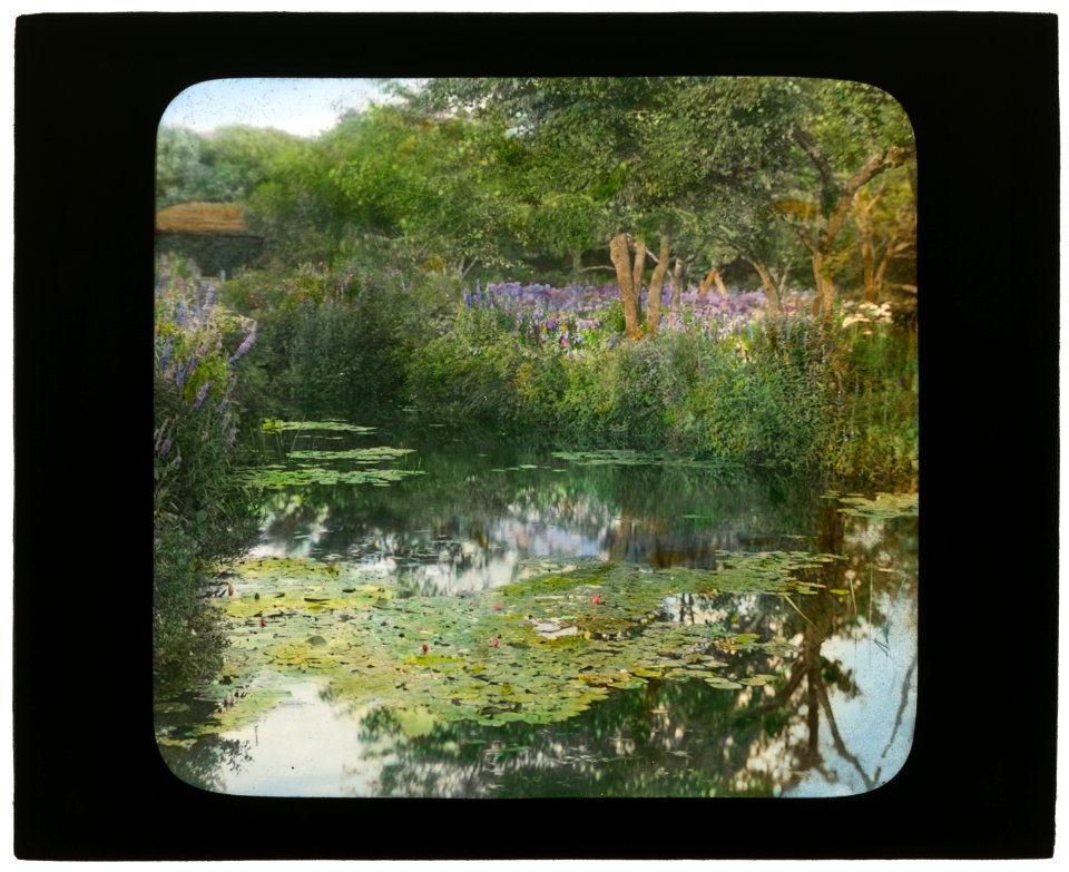 Grey-Croft, Stephen Swete Cummins house, Huntting Lane, East Hampton, New York. Japanese iris garden LCCN2007685927