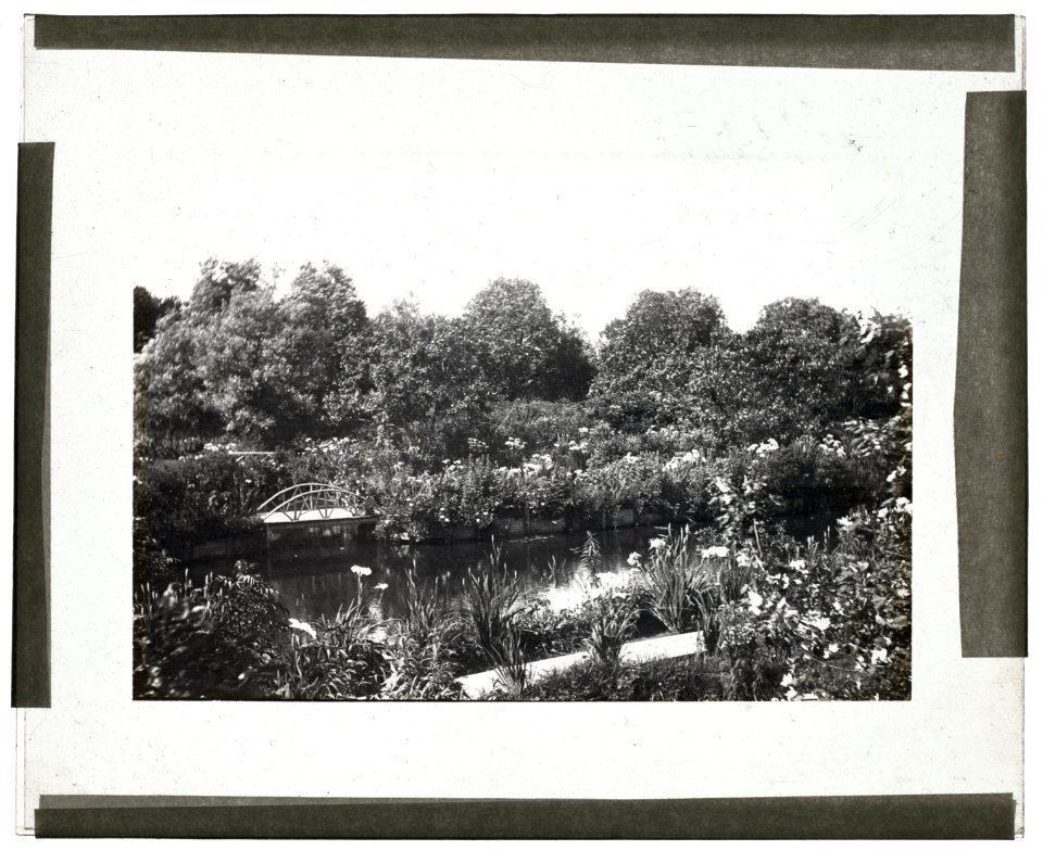Grey-Croft, Stephen Swete Cummins house, Huntting Lane, East Hampton, New York. Japanese iris garden LCCN2008680083