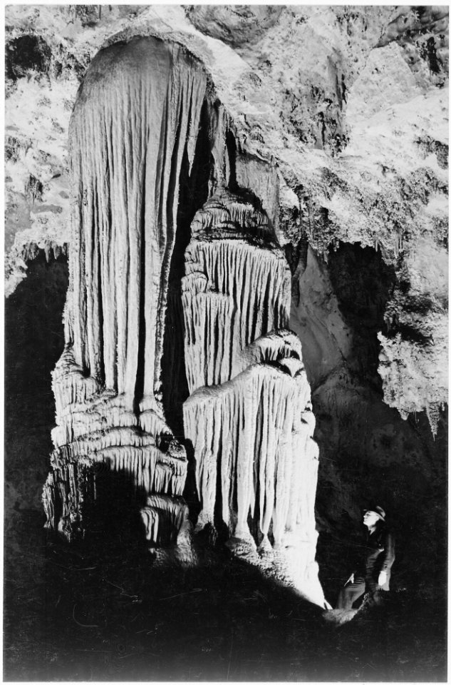 Illuminated stalactite, man on right, Large Stalactite Formation in 'the Kings Palace,' Carlsbad Caverns National Park, - NARA - 520025