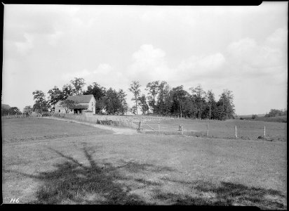 Home of a small farmer in Sevier County, Tennessee. Poor soil and sheet erosion is much in evidence. - NARA - 532630