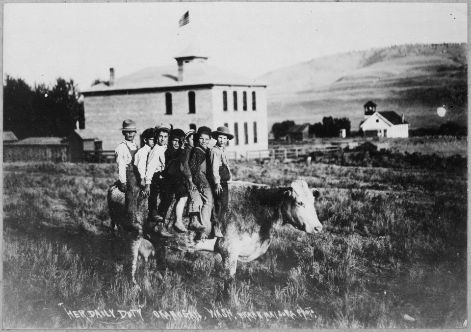 Her daily duty. Cow with seven small boys on her back poses in front of schoolhouse in Okanogan, Wash. By Frank Matsur - NARA - 532039