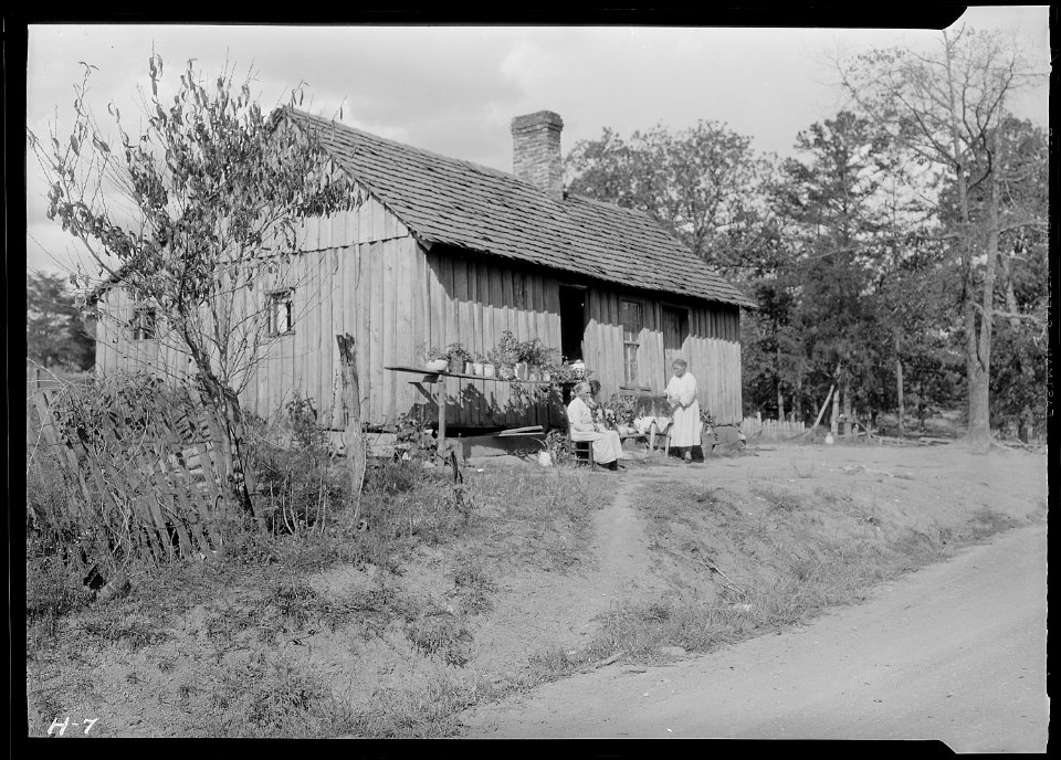 Home of a renter on a small farm in Sevier County, Tennessee. Note the attempt to beautify the place with potted... - NARA - 532631